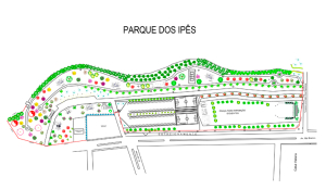 O novo Complexo de Lazer vai ocupar uma extensa área, hoje ociosa, entre a Lagoa e a avenida Rio Branco. Orçado em R$ 5 milhões de reais o Parque dos Ipês inclui duas quadras esportivas( Society e grama sintética), uma quadra para peteca, uma pista de Skate, Quiosques, Banheiros para atletas e público em geral.