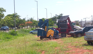 Canteiro público vira ponto de venda e estacionamento